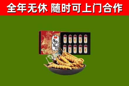 醴陵回收冬虫夏草价格